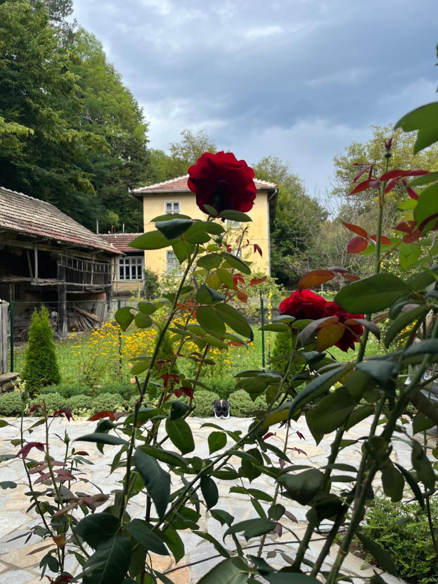Verta House Tryavna Exterior photo
